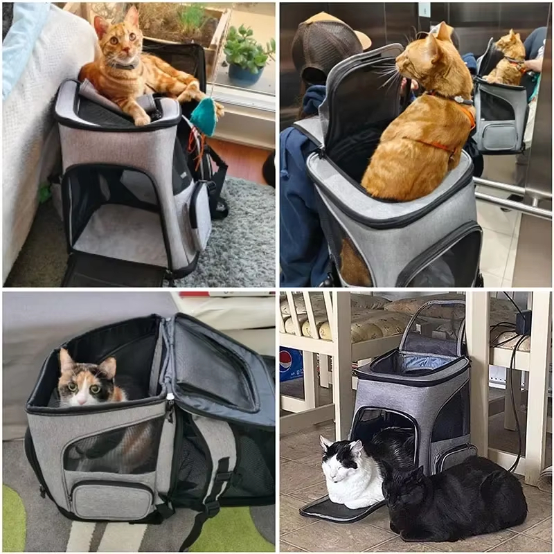Cat Bag Outdoor Portable Cat B - Foldable Backpack Small recensione e prezzo