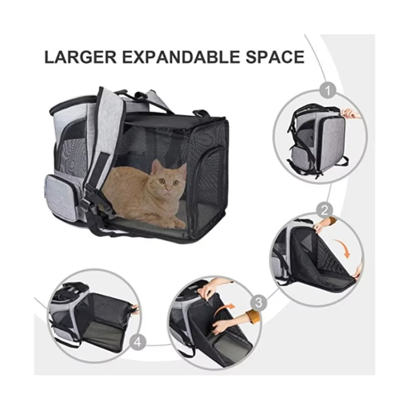 Cat Bag Outdoor Portable Cat B - Foldable Backpack Small recensione e prezzo
